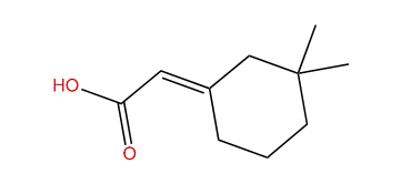 (E)-3,3-Dimethylcyclohexane-delta1,alpha-acetic acid